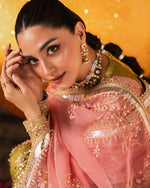 Load image into Gallery viewer, AL-4269 PHOOL