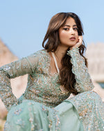 Load image into Gallery viewer, MISAQ