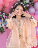 Load image into Gallery viewer, AL-1013