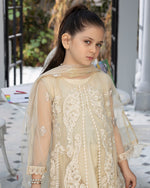 Load image into Gallery viewer, AL-3870