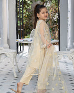 Load image into Gallery viewer, AL-3870