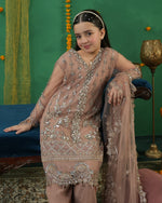 Load image into Gallery viewer, AL-3666