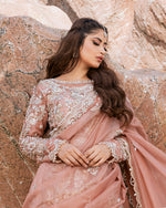 Load image into Gallery viewer, NISA