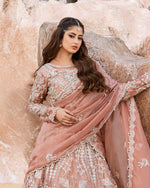 Load image into Gallery viewer, NISA