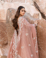 Load image into Gallery viewer, NISA