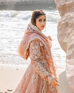 Load image into Gallery viewer, NISA