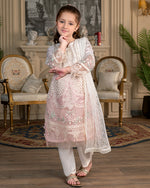 Load image into Gallery viewer, AL-1076