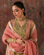 Load image into Gallery viewer, AL-4269 PHOOL

